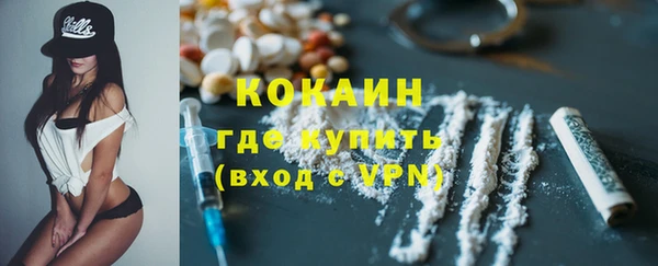 ПСИЛОЦИБИНОВЫЕ ГРИБЫ Абаза