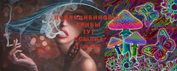 ПСИЛОЦИБИНОВЫЕ ГРИБЫ Абаза