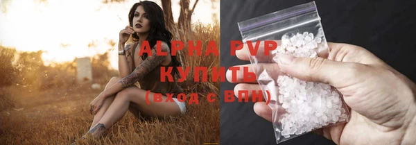 ПСИЛОЦИБИНОВЫЕ ГРИБЫ Абаза