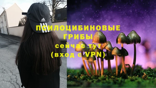 СК Абдулино