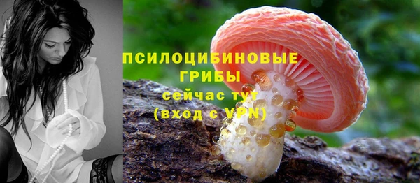 СК Абдулино