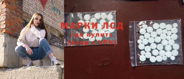 прущие крисы Болотное