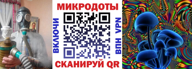 как найти закладки  Чекалин  Псилоцибиновые грибы GOLDEN TEACHER 